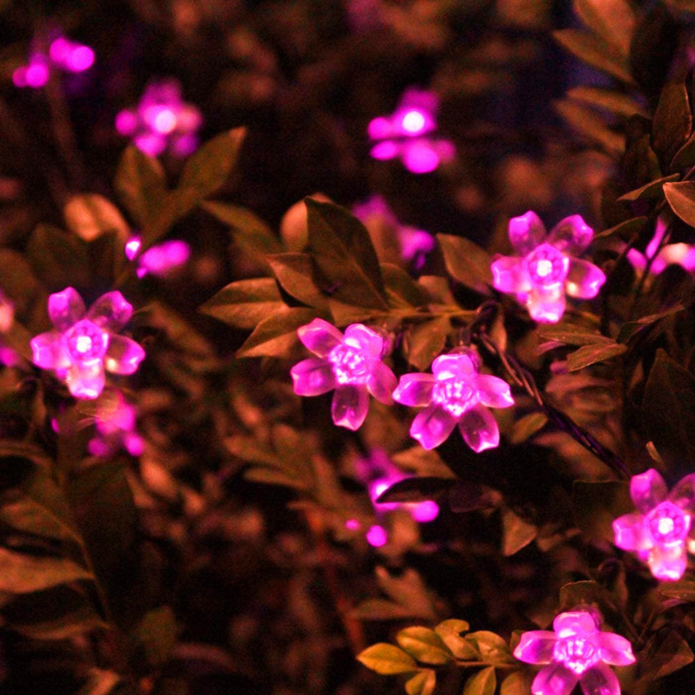 Solar Cherry Garden Blossom Fl - Solar String Lights Outdoor 20M review and price