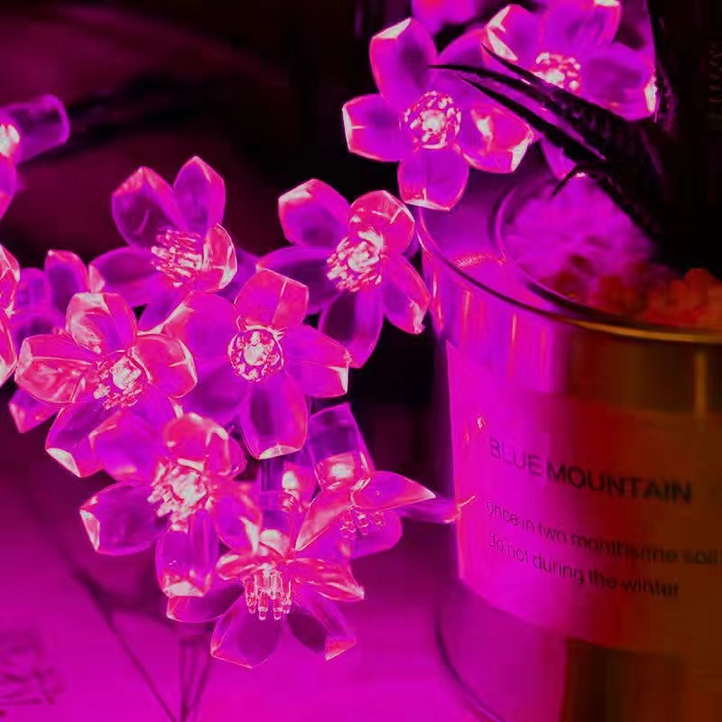 Solar Cherry Garden Blossom Fl - Solar String Lights Outdoor 20M review and price